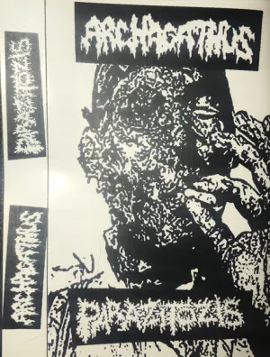 Pochette de Archagathus / Parazitózis de Archagathus