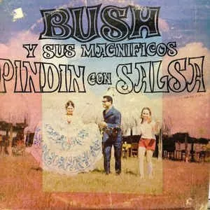 Pochette de Pindin con salsa de Bush y sus Magníficos
