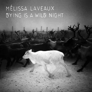 Pochette de Dying Is a Wild Night de Mélissa Laveaux