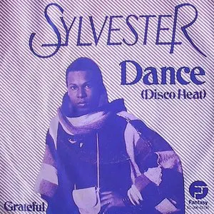 Pochette Dance (Disco Heat)