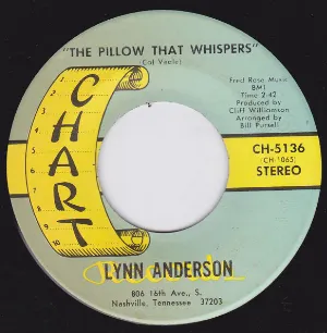 Pochette de He Even Woke Me Up to Say Goodbye de Lynn Anderson