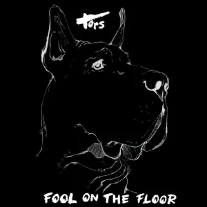 Pochette de Fool on the Floor de Tors
