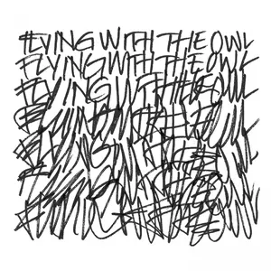 Pochette de Flying with the Owl de The Beauty of Gemina