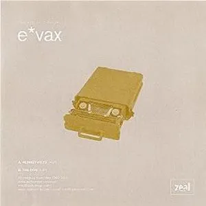Pochette de Zealectronic Beige de E*Vax