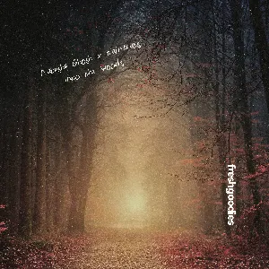 Pochette de Into the Woods de KAINBEATS