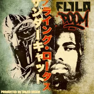 Pochette de MF DOOM & Flying Lotus: FlyloDOOM de David Begun