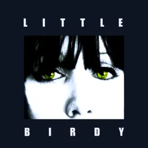 Pochette de Little Birdy de Little Birdy
