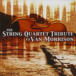 Pochette The String Quartet Tribute to Van Morrison