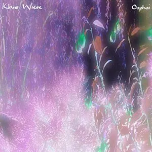 Pochette de The Light Sweeps All the Mist Away de Oöphoi