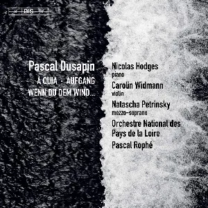 Pochette de À Quia ‧ Aufgang ‧ Wenn Du Dem Wind... de Carolin Widmann - Pascal Dusapin - Pascal Rophé - Orchestre national des Pays de la Loire