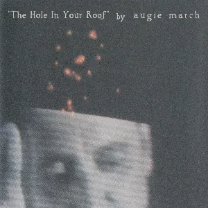 Pochette de The Hole in Your Roof de Augie March