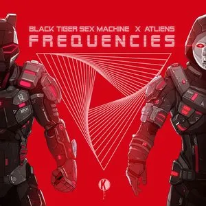 Pochette de Frequencies de Black Tiger Sex Machine