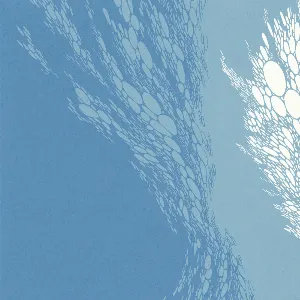 Pochette de Flood (live 2003) de Boris