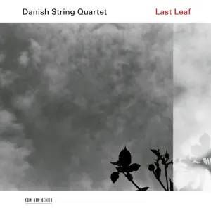 Pochette de Last Leaf de Danish String Quartet