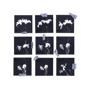 Pochette de Non-Cellular Life de Exium