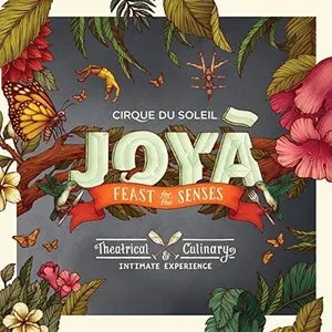 Pochette de Joyã de Cirque du Soleil
