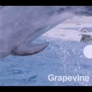 Pochette de 風待ち de GRAPEVINE