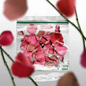 Pochette de Le Son d’après de Lala &ce