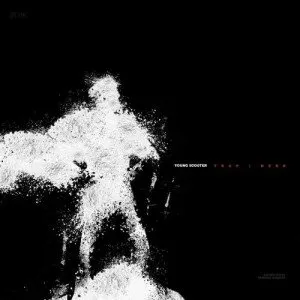 Pochette de Trap Hero de Young Scooter