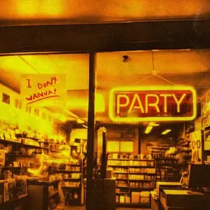 Pochette de I Don't Wanna Party de The Summer Set
