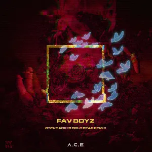 Pochette de Fav Boyz (Steve Aoki’s Gold Star remix) de A.C.E
