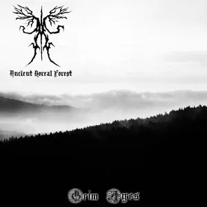 Pochette de Grim Ages de Ancient Boreal Forest