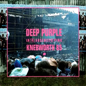 Pochette In the Absence of Pink: Knebworth 85