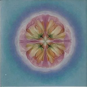 Pochette de Morning Jewel de Michael Stearns