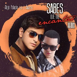 Pochette Sabes que me encantas (remix)