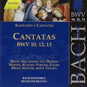 Pochette Johann Sebastian Bach - Edition Bachakademie