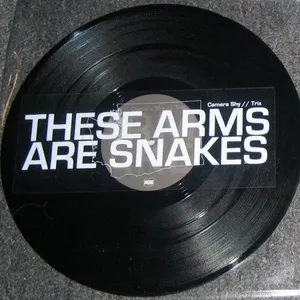 Pochette These Arms Are Snakes / Russian Circles
