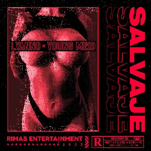 Pochette de Salvaje de Lyanno - Young Miko