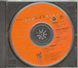 Pochette de Songs From the Album Vibraudoblast de Western Vacation