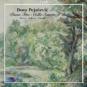 Pochette de Piano Trio / Cello Sonata de Christian Poltéra - Oliver Triendl