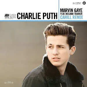 Pochette Marvin Gaye (Cahill remix)