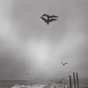 Pochette de Saunter de Chihei Hatakeyama