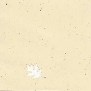 Pochette de Liminology de Lawrence English