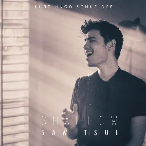 Pochette de Shallow (acoustic) de Sam Tsui - Kurt Hugo Schneider