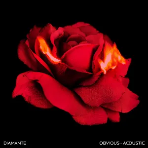 Pochette de Obvious de DIAMANTE