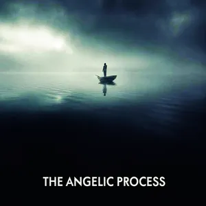 Pochette The Angelic Process