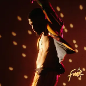 Pochette de SuperFunk de Duckwrth