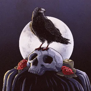 Pochette The Funeral & the Raven