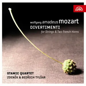 Pochette de Divertimenti for Strings & Two French Horns de Stamicovo kvarteto - Wolfgang Amadeus Mozart