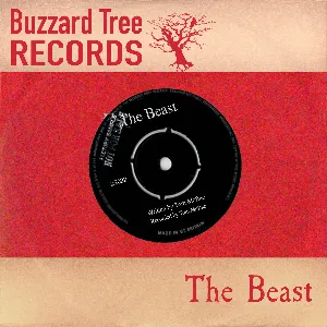 Pochette de The Beast de Tom McRae