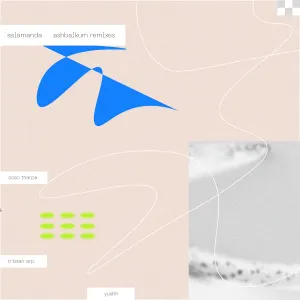 Pochette de ashbalkum remixes de Salamanda