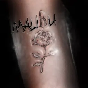 Pochette de Fore Mix de Malibu