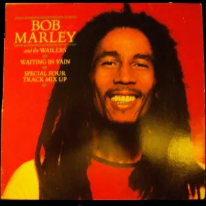 Pochette de Waiting In Vain de Bob Marley & The Wailers