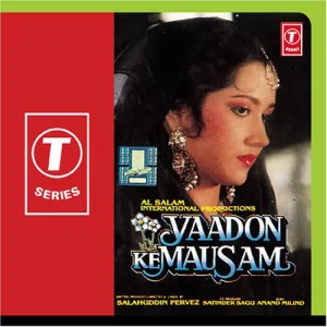 Pochette de Yaadon Ke Mausam de Anand-Milind