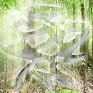 Pochette de Tree de 2hollis