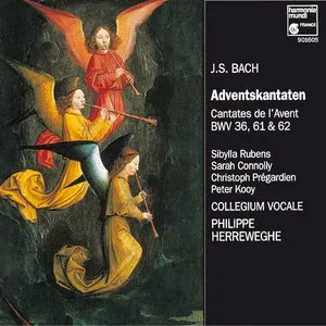 Pochette Adventskantaten BWV 36, 61 & 62